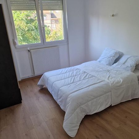 Location Appartement 80M2 A Rombas Esterno foto